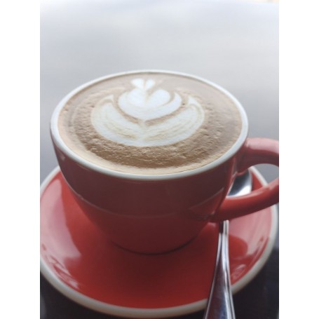 Flat White / Cappucino